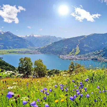 Holiday Alpenparks - Osb03149-eyb